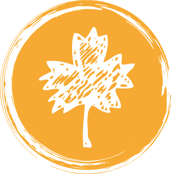 DTlogo600px33KB