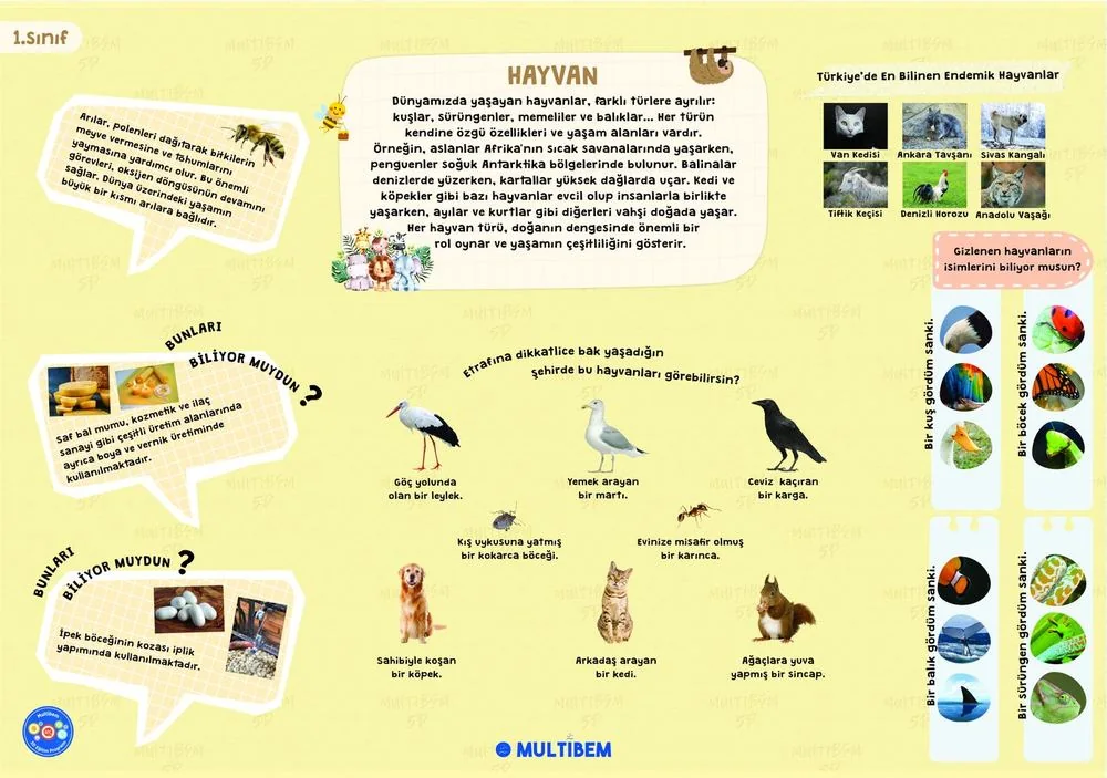 1. Sınıf Hayvanlar Teması