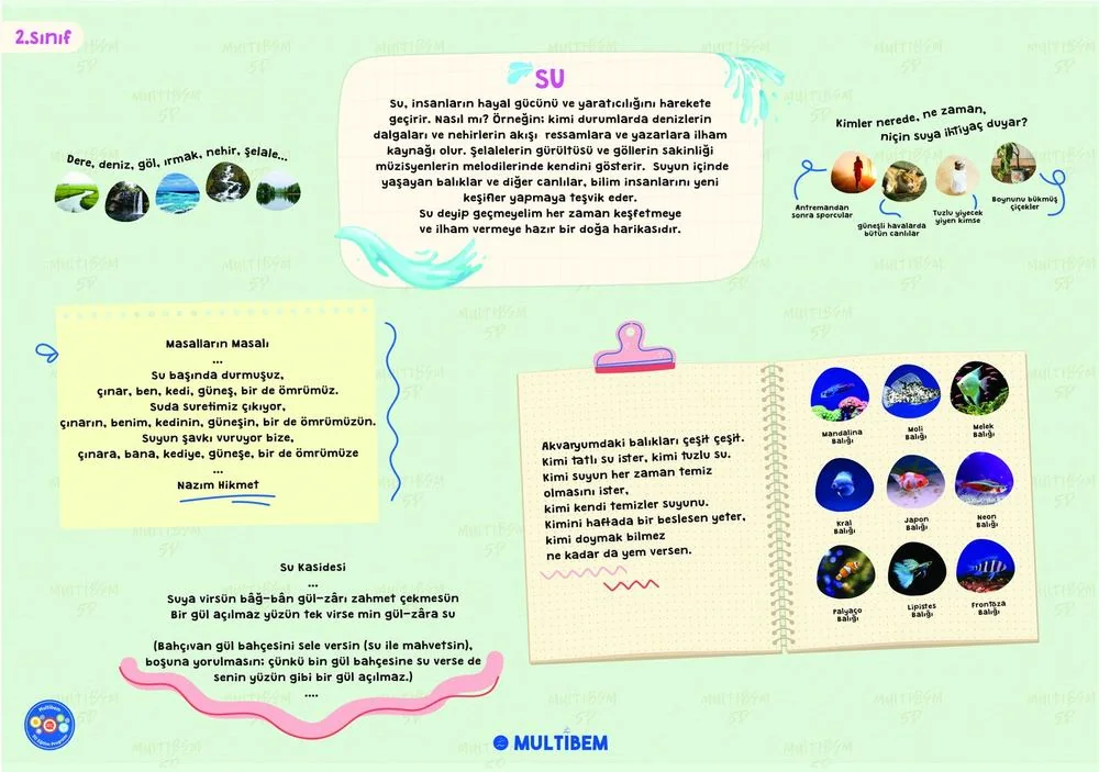 2. Sınıf Su Teması